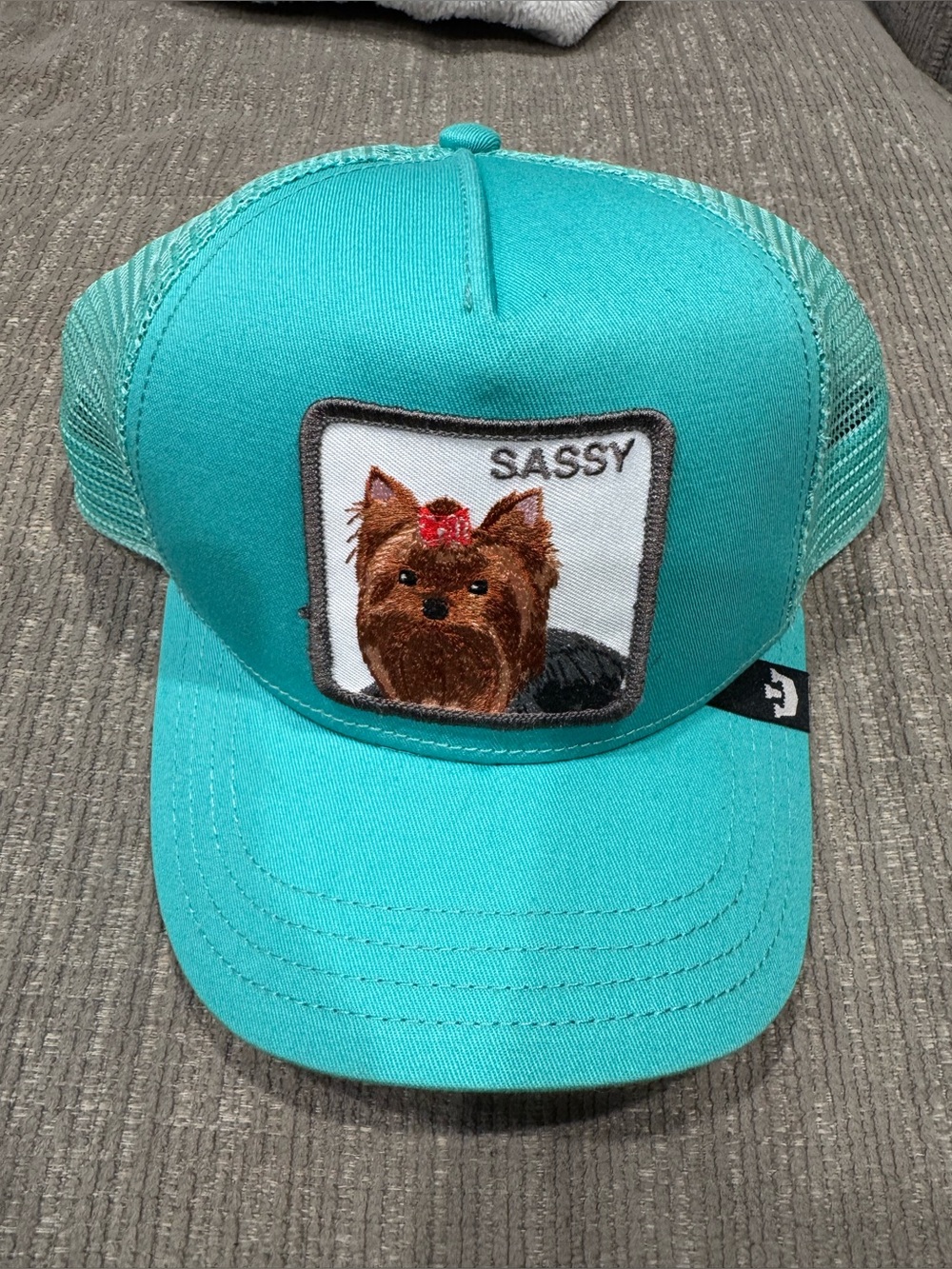 Sassy Yorkie Hat